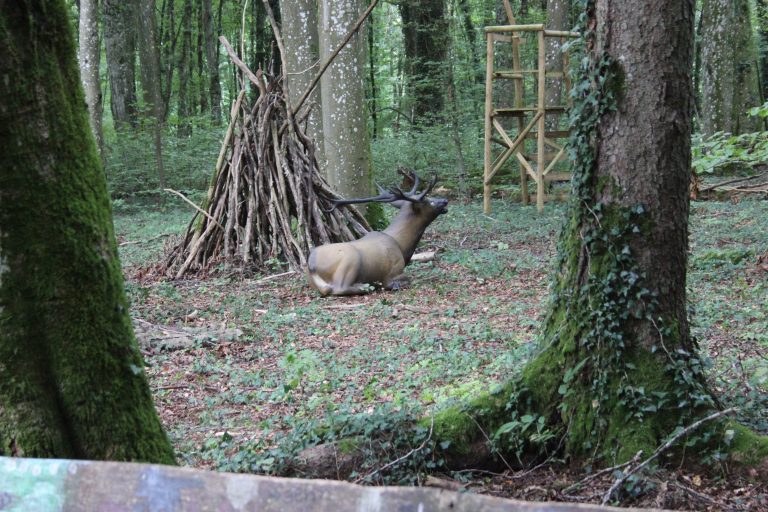 3D Geierschlucht 2024 – 3D-Ziele | Arrowclub Dudelange