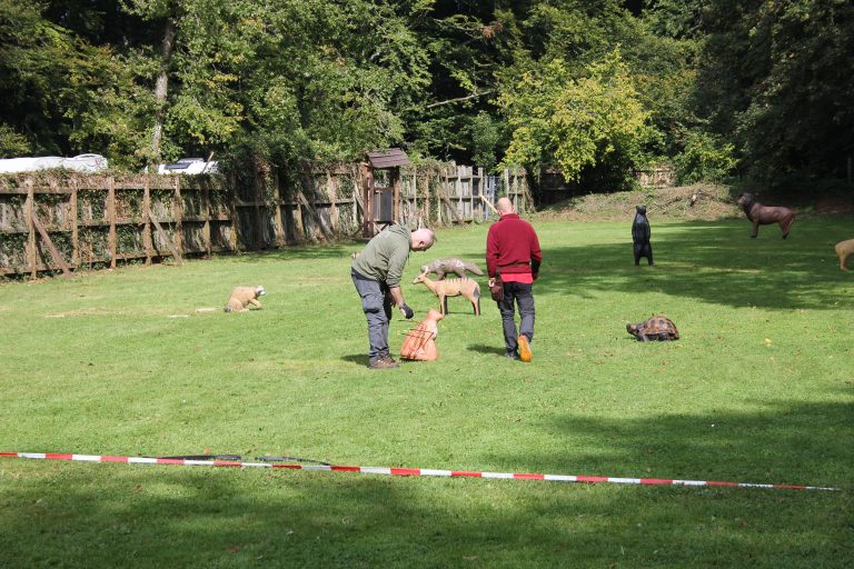 3D Geierschlucht 2024 – Rund ums Vereinshaus | Arrowclub Dudelange