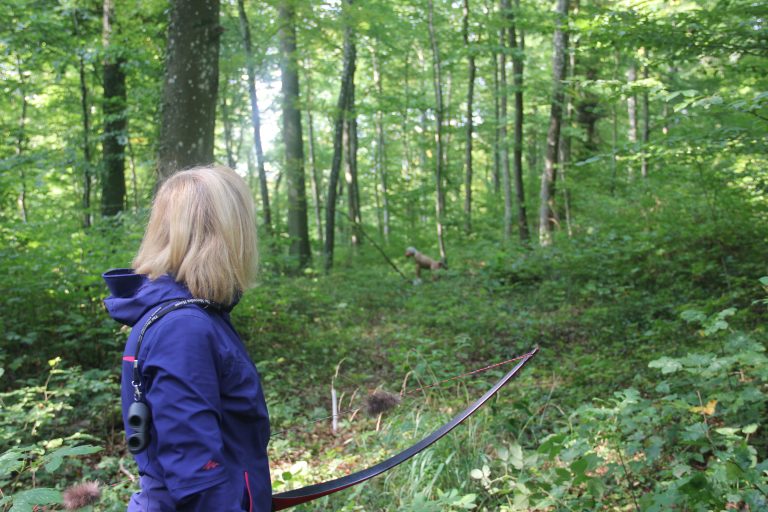 3D Geierschlucht 2017 – Auf dem Parcours | Arrowclub Dudelange
