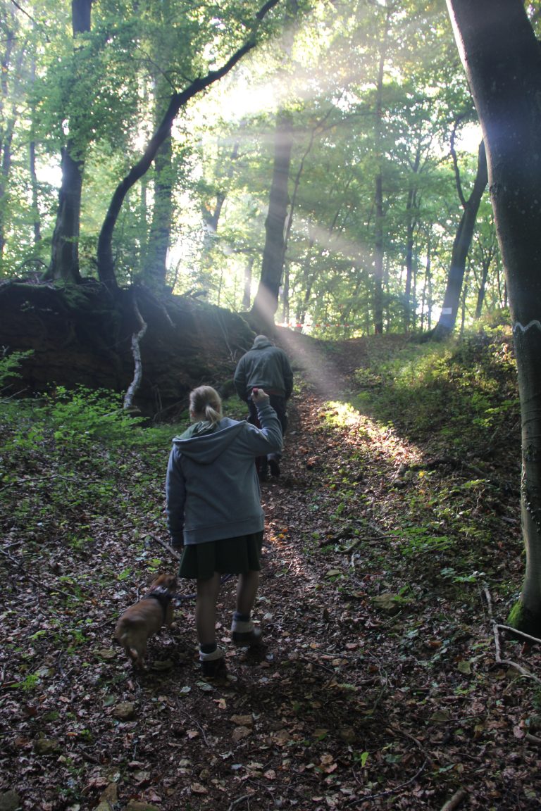 3D Geierschlucht 2017 – Auf dem Parcours | Arrowclub Dudelange