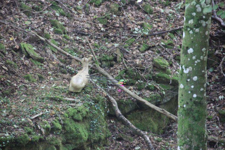 3D Geierschlucht 2017 – Die 3D-Ziele | Arrowclub Dudelange