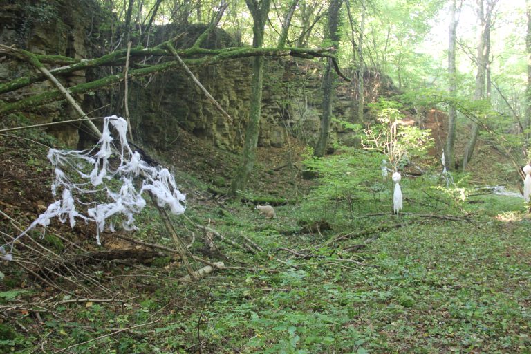 3D Geierschlucht 2017 – Auf dem Parcours | Arrowclub Dudelange