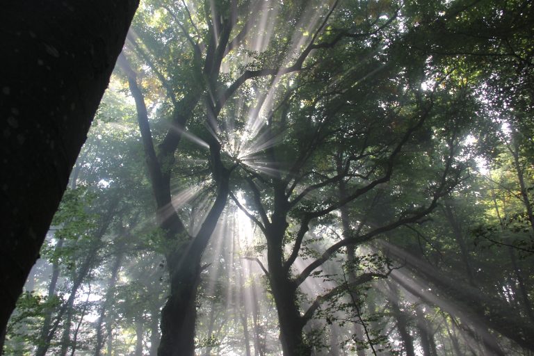 3D Geierschlucht 2017 – Auf dem Parcours | Arrowclub Dudelange