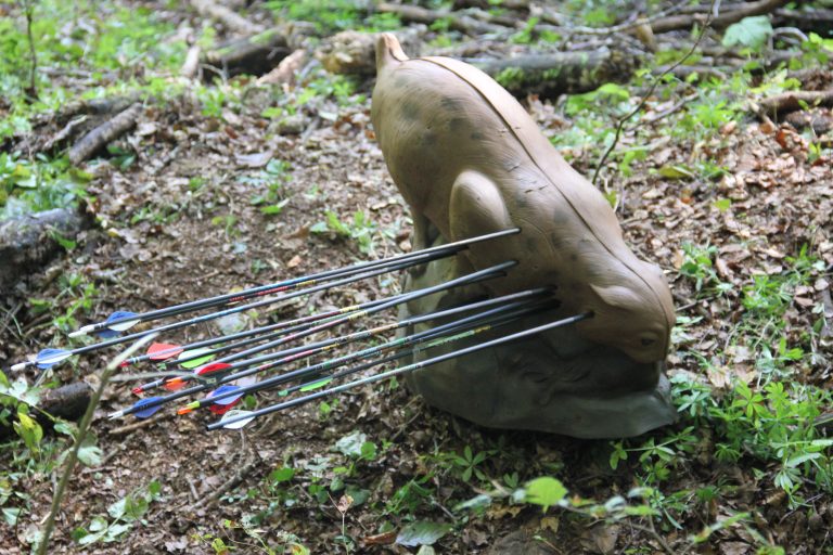 3D Geierschlucht 2017 – Die 3D-Ziele | Arrowclub Dudelange
