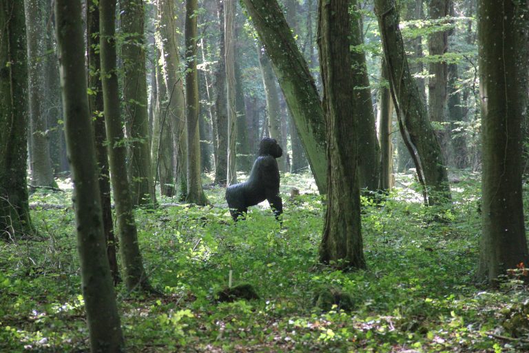 3D Geierschlucht 2017 – Auf dem Parcours | Arrowclub Dudelange