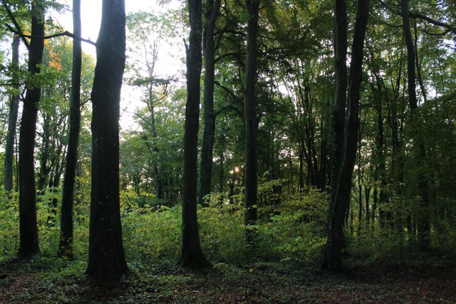 3D Geierschlucht 2012, Arrowclub Dudelange