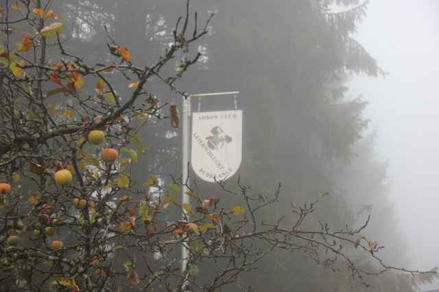 3D Geierschlucht 2011, Arrowclub Dudelange