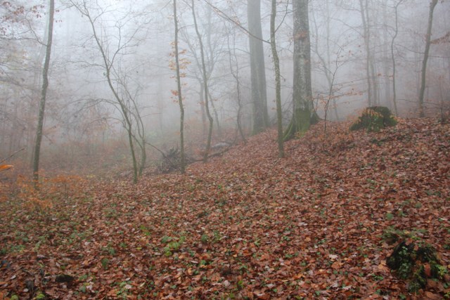 3D Geierschlucht 2011, Arrowclub Dudelange