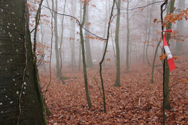 3D Geierschlucht 2011, Arrowclub Dudelange