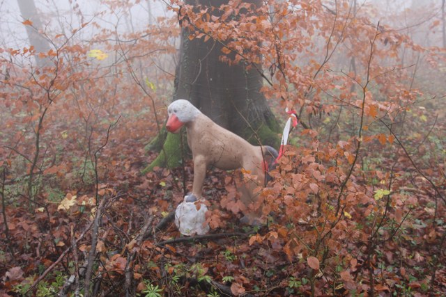 3D Geierschlucht 2011, Arrowclub Dudelange