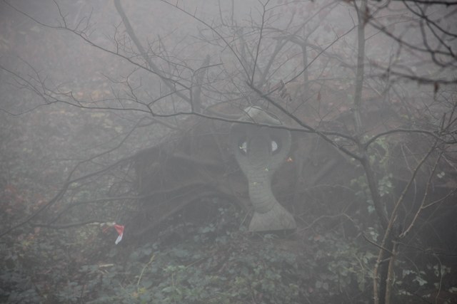 3D Geierschlucht 2011, Arrowclub Dudelange