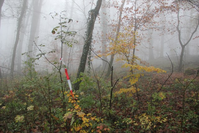 3D Geierschlucht 2011, Arrowclub Dudelange
