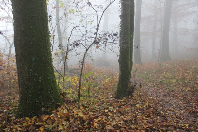 3D Geierschlucht 2011, Arrowclub Dudelange