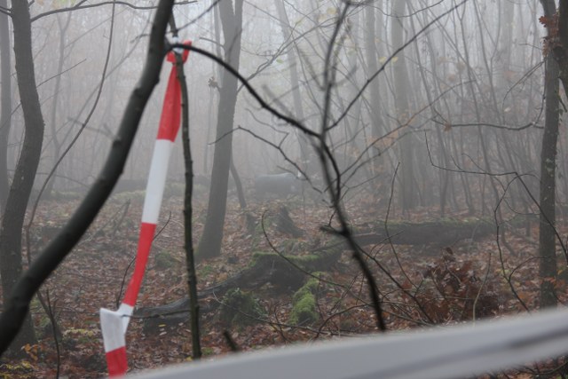 3D Geierschlucht 2011, Arrowclub Dudelange