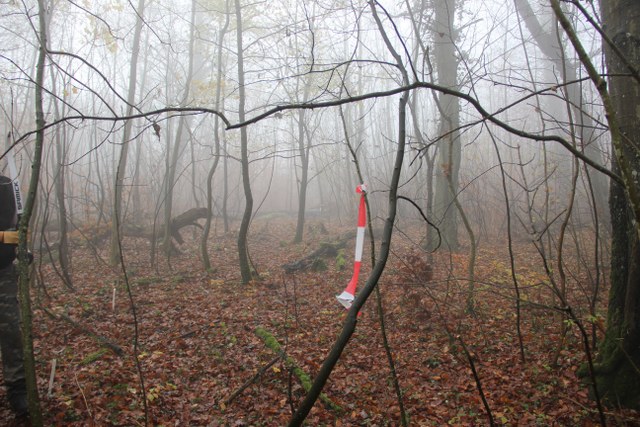 3D Geierschlucht 2011, Arrowclub Dudelange
