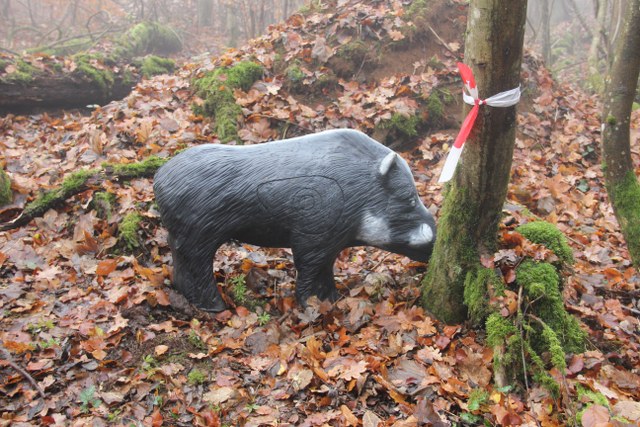 3D Geierschlucht 2011, Arrowclub Dudelange