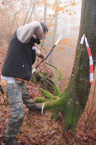 3D Geierschlucht 2011, Arrowclub Dudelange