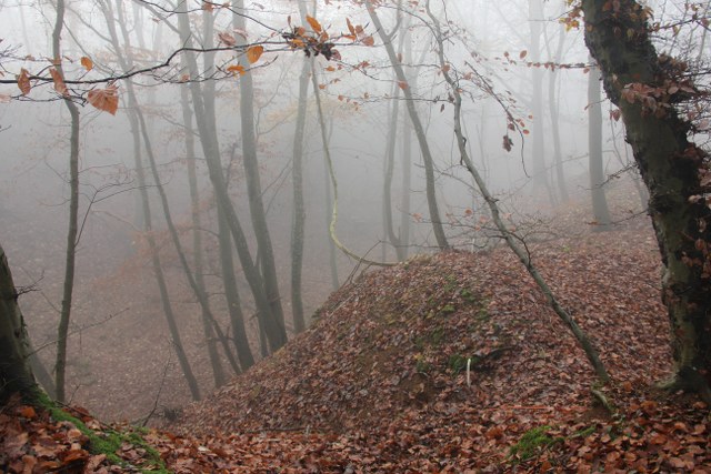 3D Geierschlucht 2011, Arrowclub Dudelange