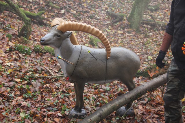 3D Geierschlucht 2011, Arrowclub Dudelange