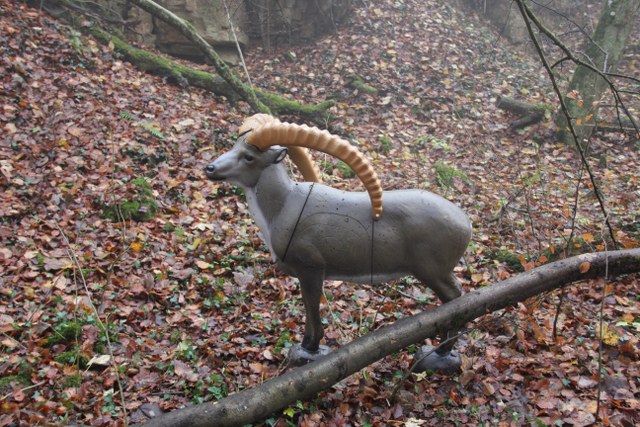 3D Geierschlucht 2011, Arrowclub Dudelange