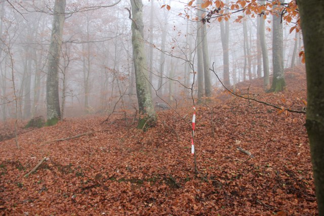 3D Geierschlucht 2011, Arrowclub Dudelange