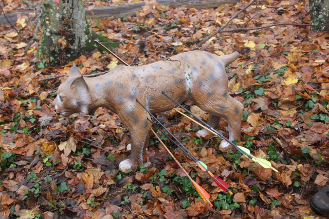 3D Geierschlucht 2011, Arrowclub Dudelange