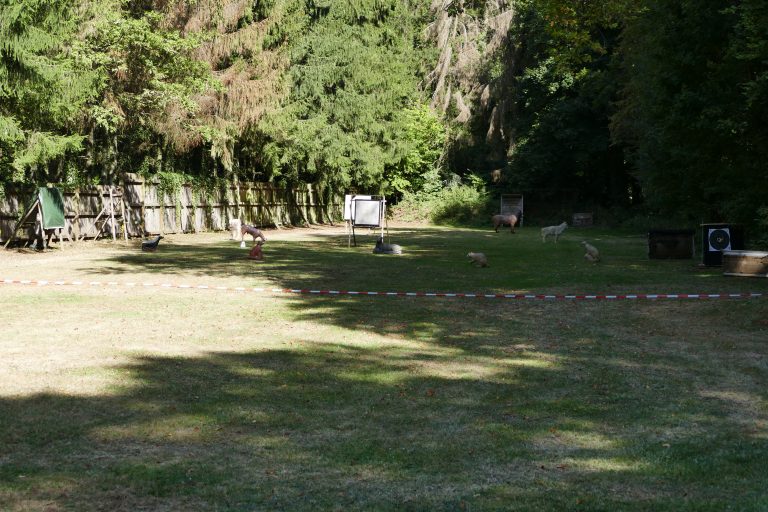 3D Geierschlucht 2019 – Rund ums Vereinshaus | Arrowclub Dudelange