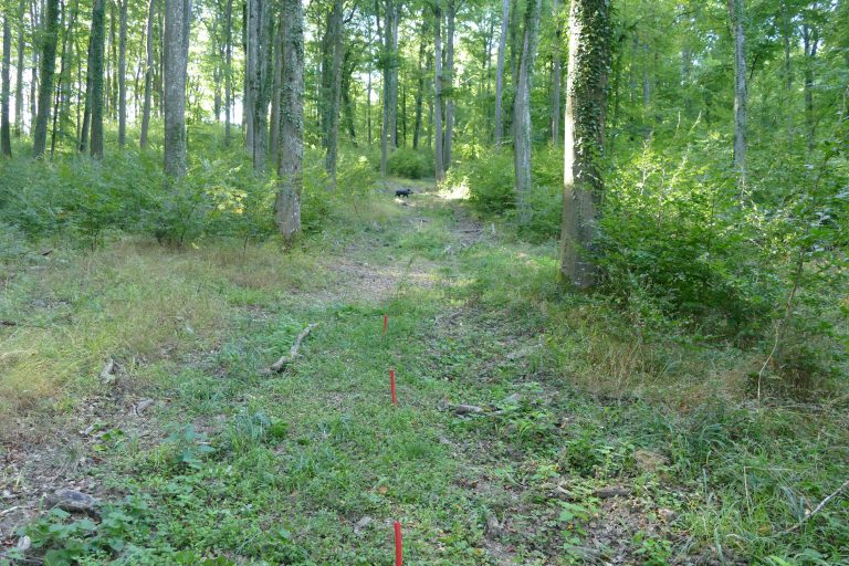 3D Geierschlucht 2019 – Auf dem Parcours | Arrowclub Dudelange