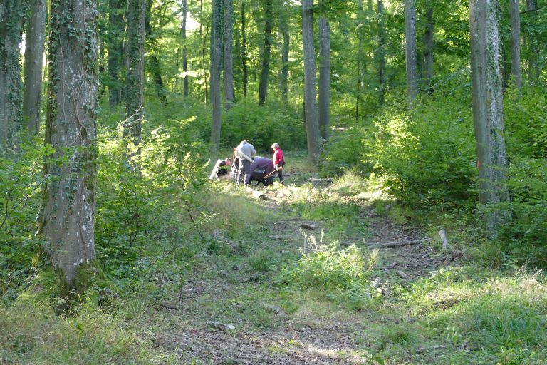 3D Geierschlucht 2019 – Auf dem Parcours | Arrowclub Dudelange