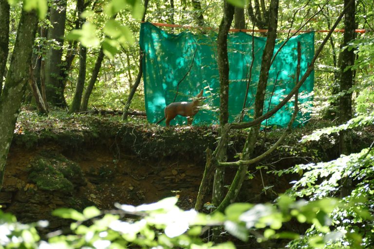 3D Geierschlucht 2019 – Auf dem Parcours | Arrowclub Dudelange