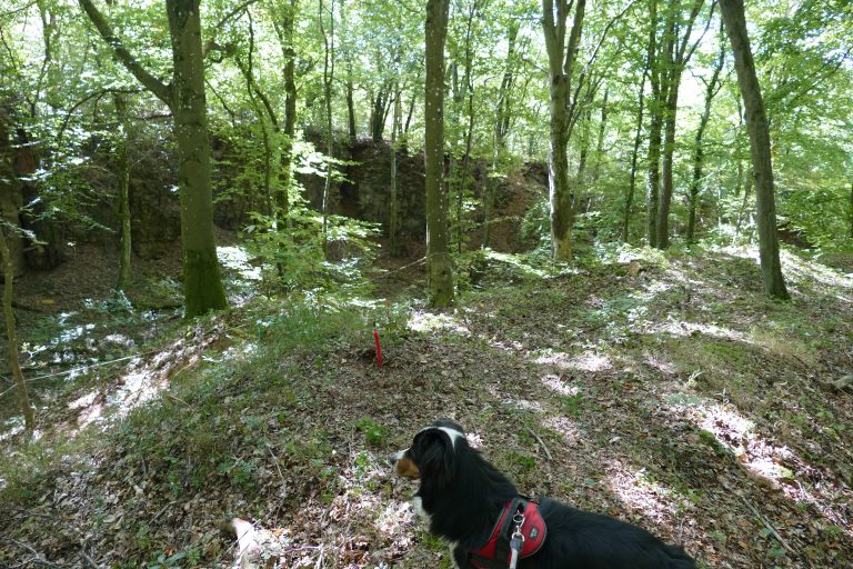 3D Geierschlucht 2019 – Auf dem Parcours | Arrowclub Dudelange