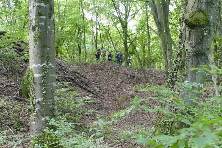 3D Geierschlucht 2019 – Auf dem Parcours | Arrowclub Dudelange