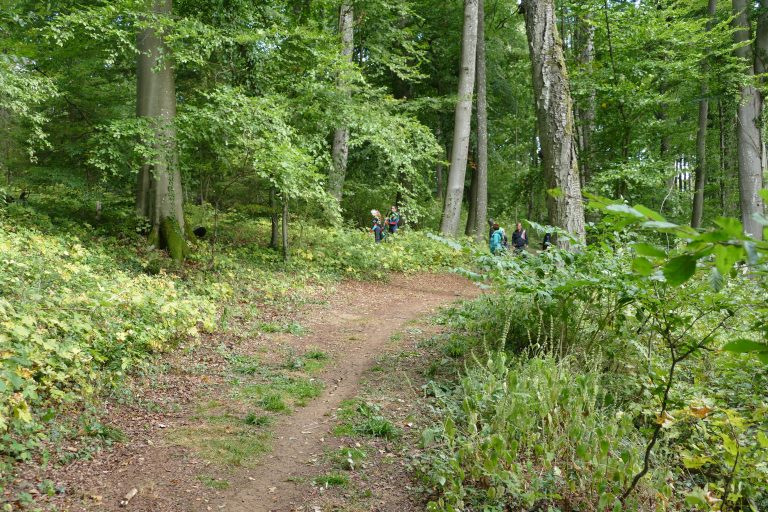 3D Geierschlucht 2019 – Auf dem Parcours | Arrowclub Dudelange
