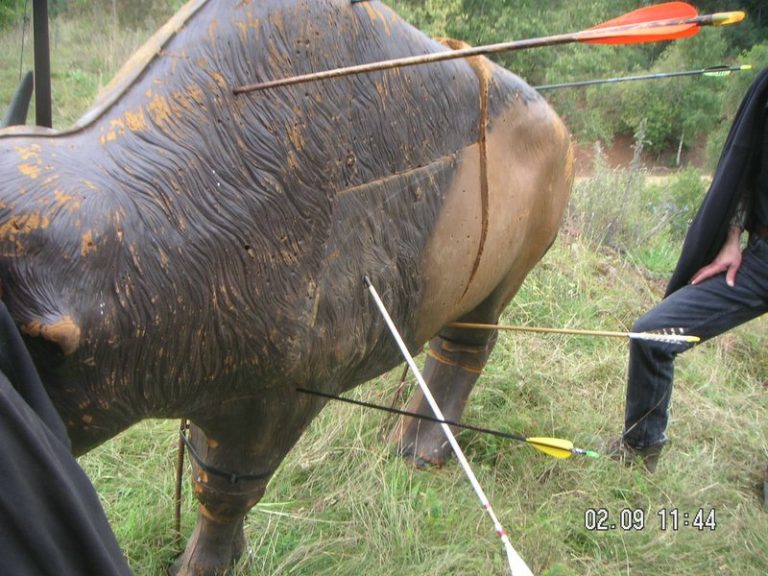 Turnier mit Siegerehrung, September 2007 – Fotoarchiv vor 2008, Arrowclub Dudelange