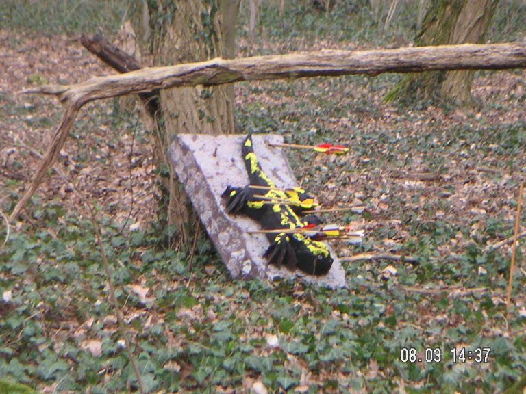 3D im Wald, März 2008 – Fotoarchiv 2008, Arrowclub Dudelange