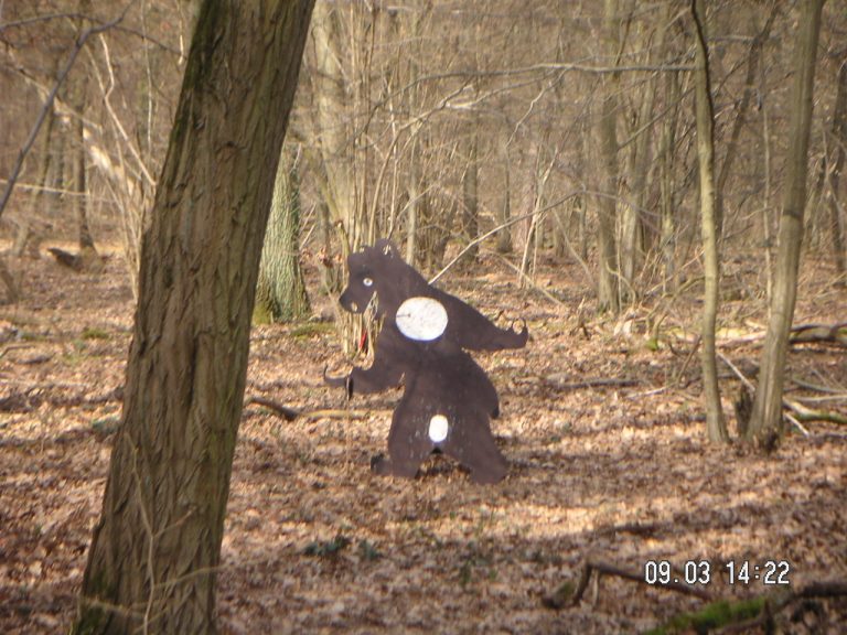 3D im Wald, März 2008 – Fotoarchiv 2008, Arrowclub Dudelange