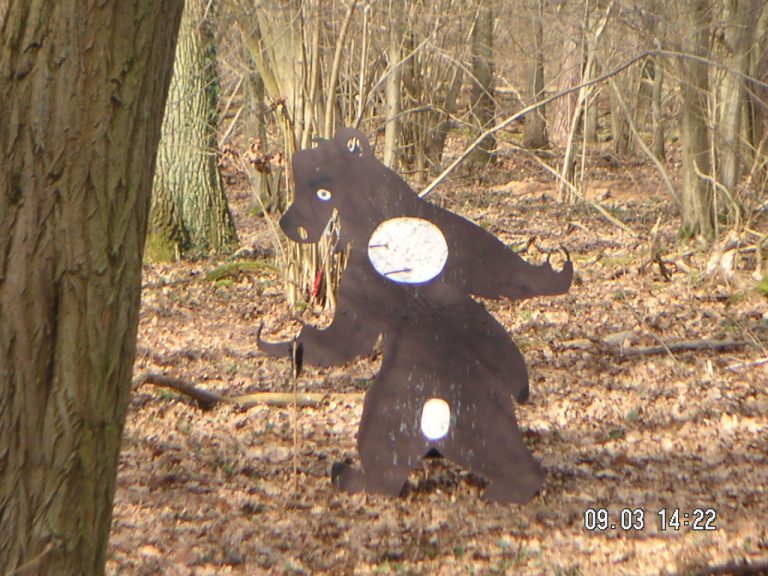 3D im Wald, März 2008 – Fotoarchiv 2008, Arrowclub Dudelange