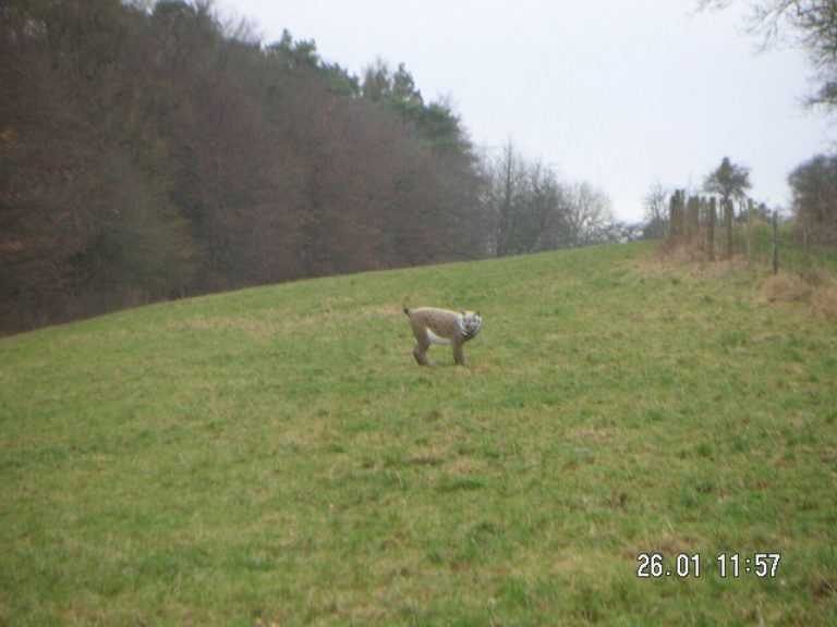 Parcours und Ausflüge – Fotos ohne Datum, Arrowclub Dudelange