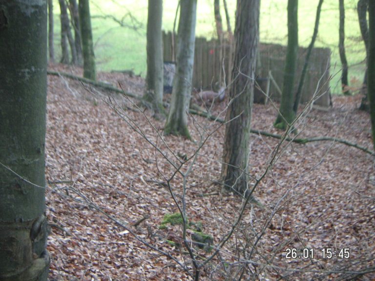 Parcours und Ausflüge – Fotos ohne Datum, Arrowclub Dudelange