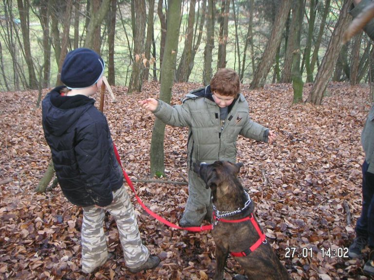 Parcours und Ausflüge – Fotos ohne Datum, Arrowclub Dudelange