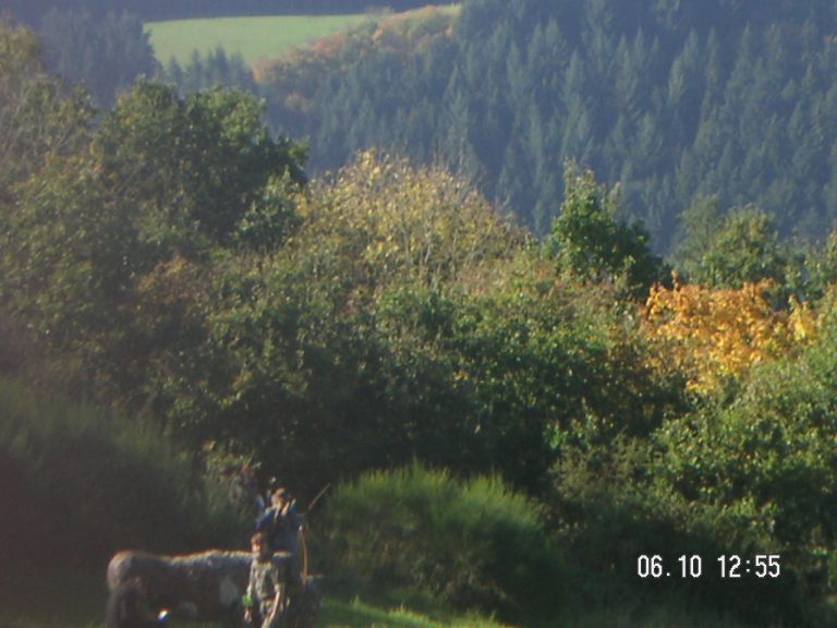 Herbst-Parcours, Oktober 2007 – Fotoarchiv vor 2008, Arrowclub Dudelange