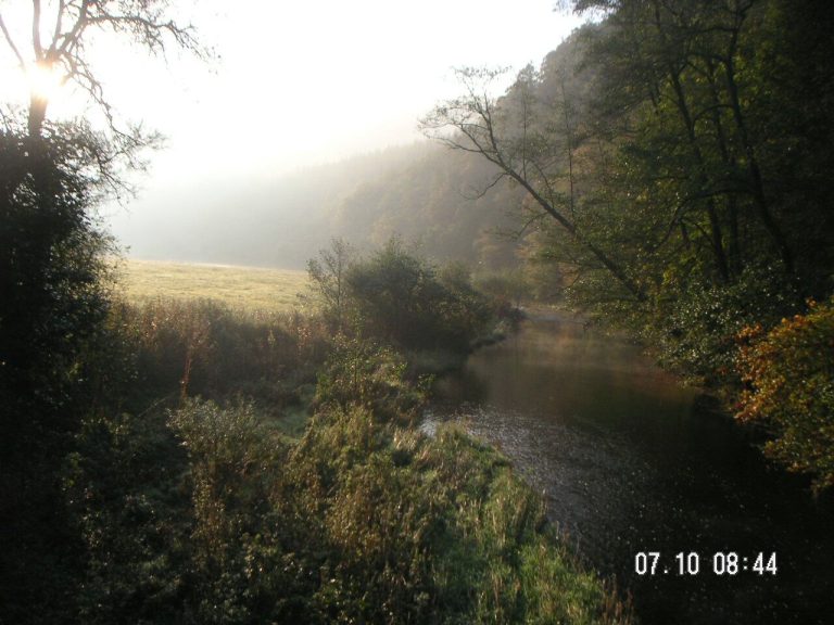 Herbst-Parcours, Oktober 2007 – Fotoarchiv vor 2008, Arrowclub Dudelange